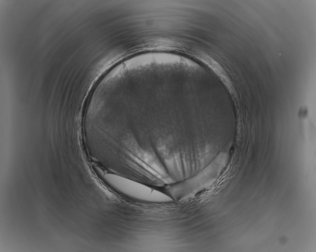 X0000097750850200803281608