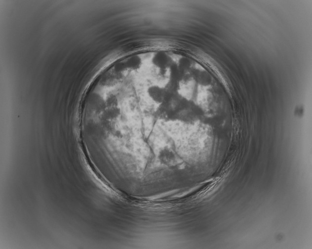 X0000097750851200803281608