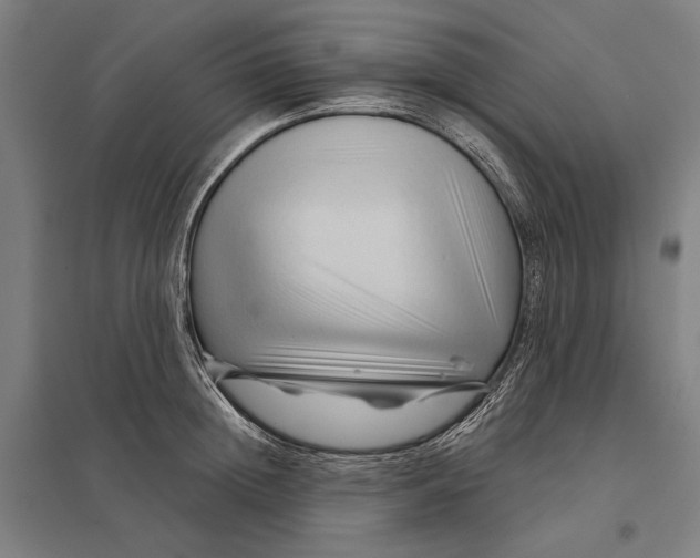 X0000097750852200803281608