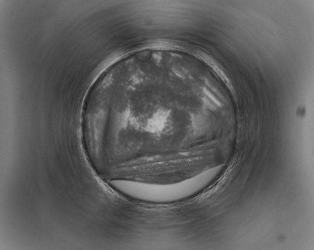 X0000097750853200803281608