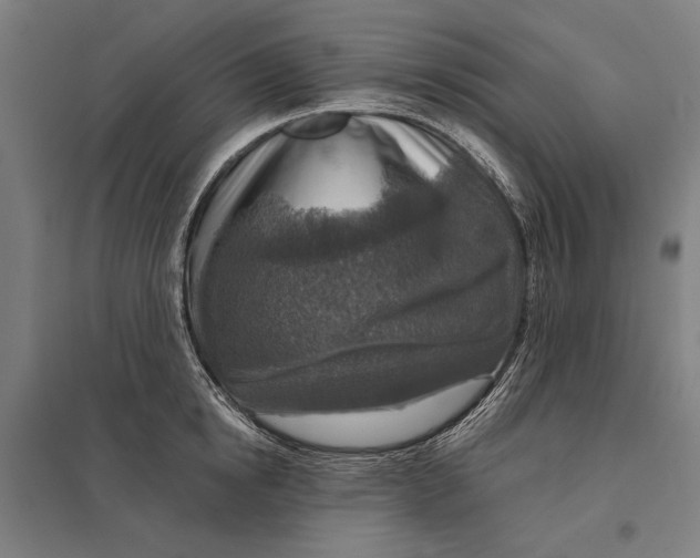 X0000097750854200803281608