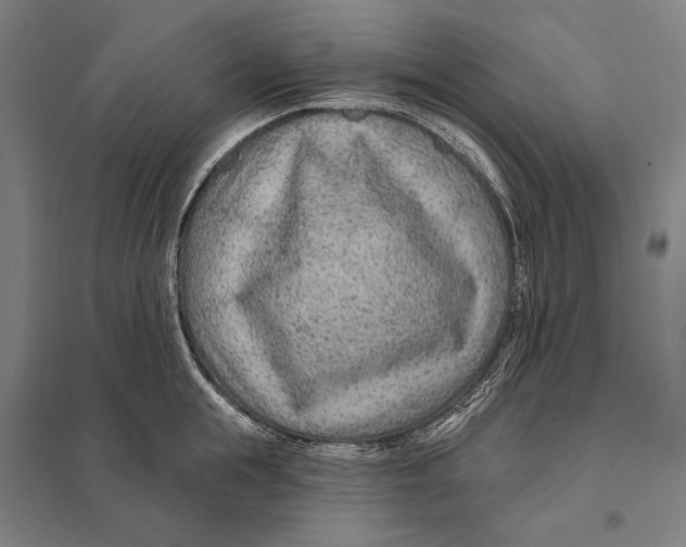 X0000097750855200803281608