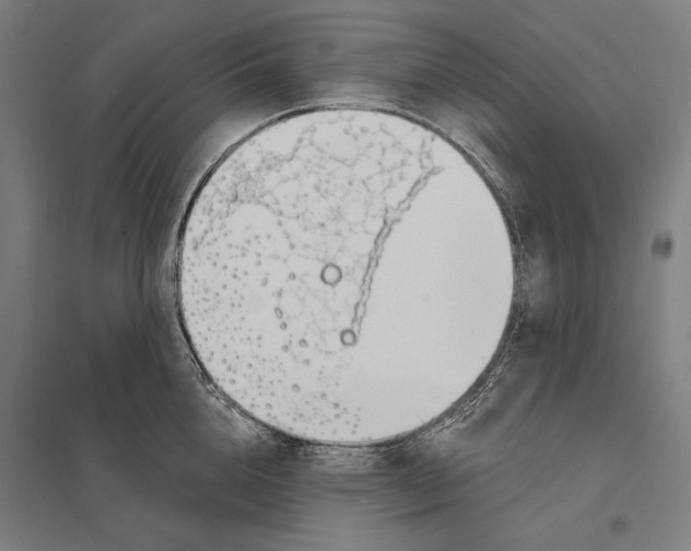 X0000097750856200803281608