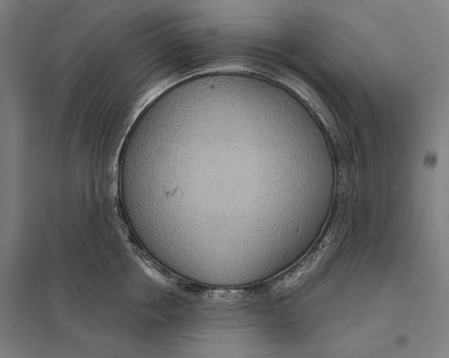 X0000097750858200803281608