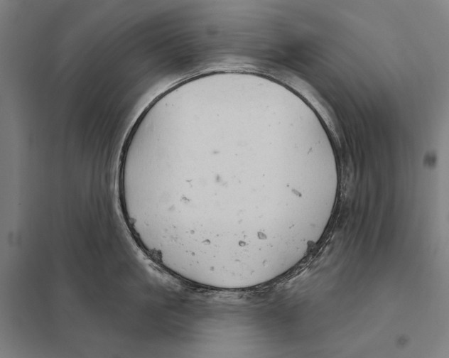 X0000097750861200803281608