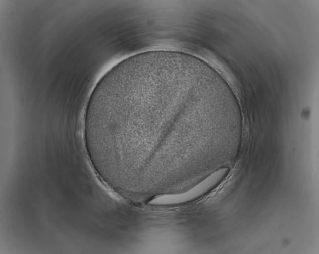 X0000097750862200803281608