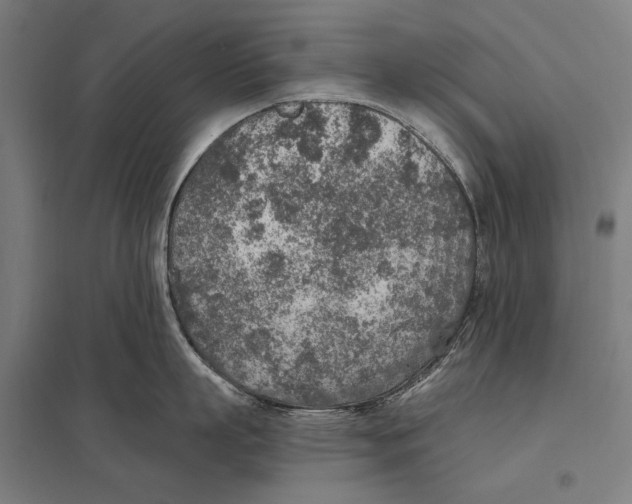 X0000097750863200803281608