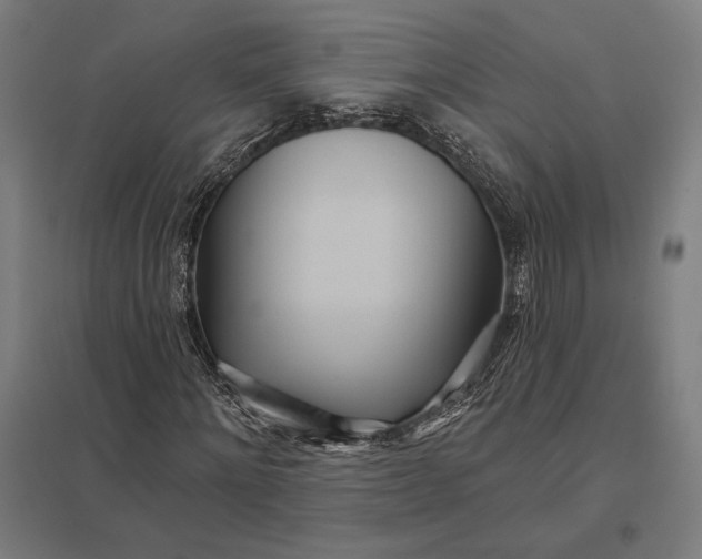 X0000097750868200803281607