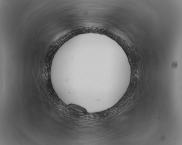 X0000097750869200803281607