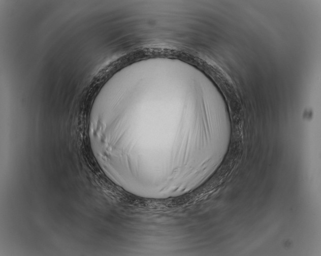 X0000097750870200803281607