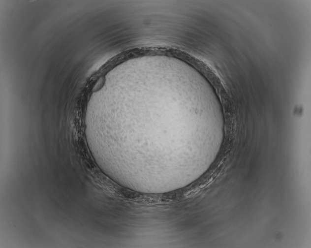 X0000097750871200803281607