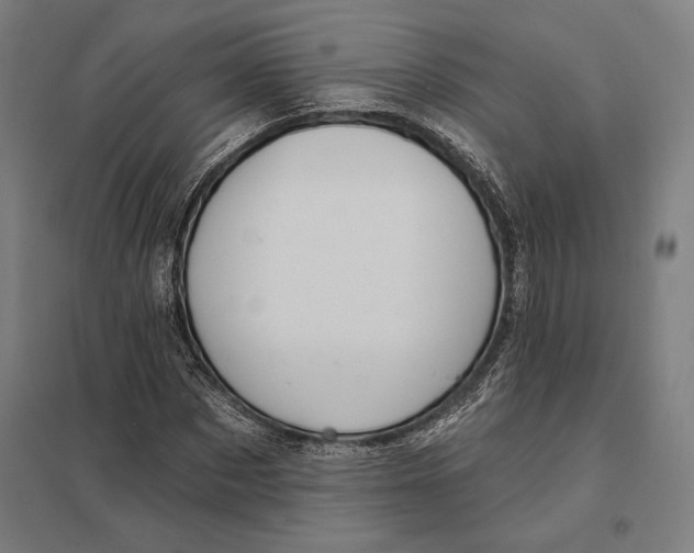 X0000097750873200803281607