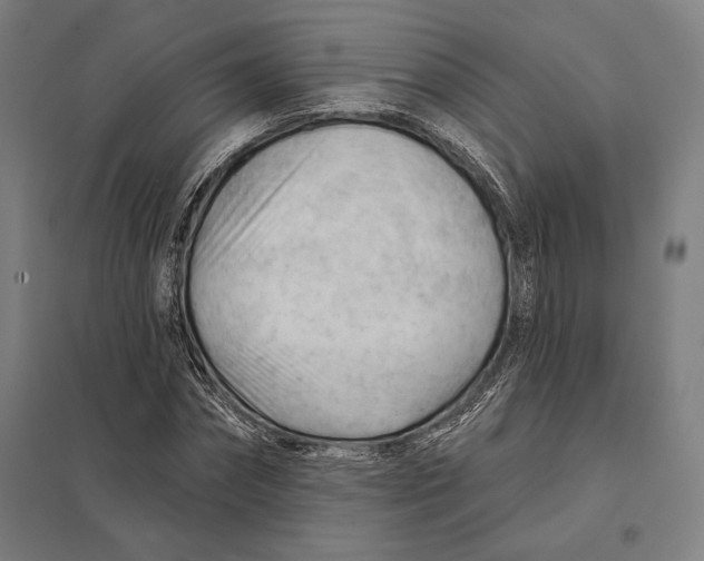 X0000097750874200803281607