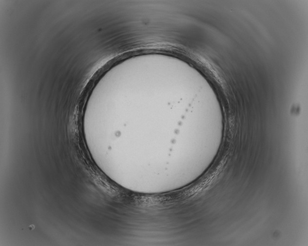 X0000097750875200803281607