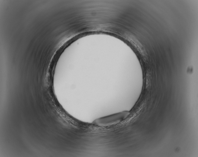 X0000097750876200803281607