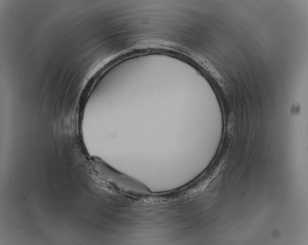 X0000097750877200803281607