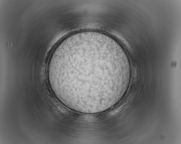 X0000097750878200803281607