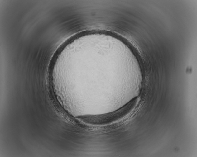 X0000097750879200803281607