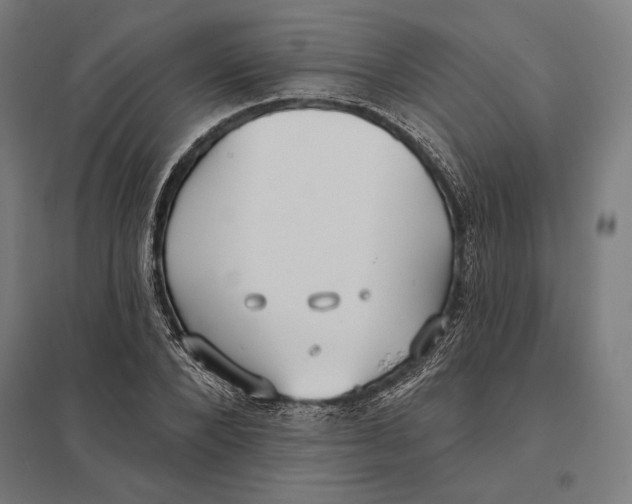 X0000097750880200803281607