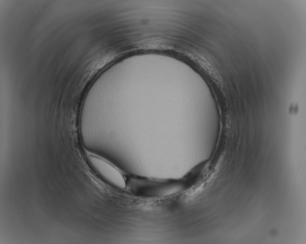 X0000097750881200803281607