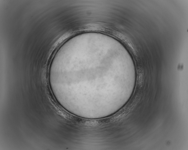 X0000097750882200803281607