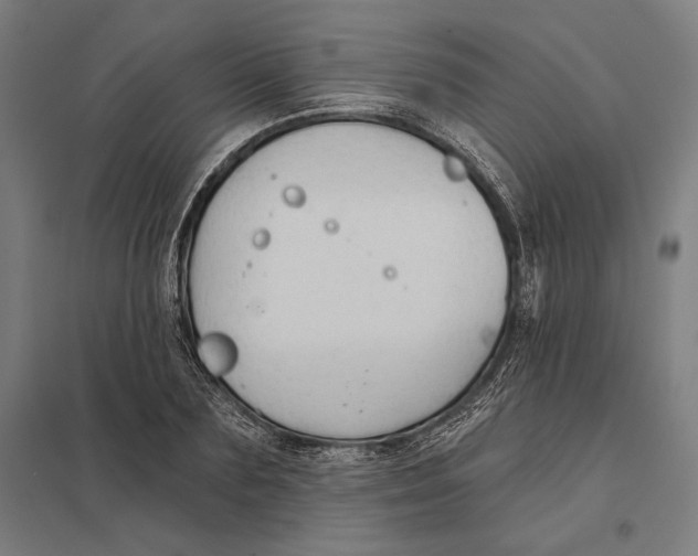 X0000097750883200803281607