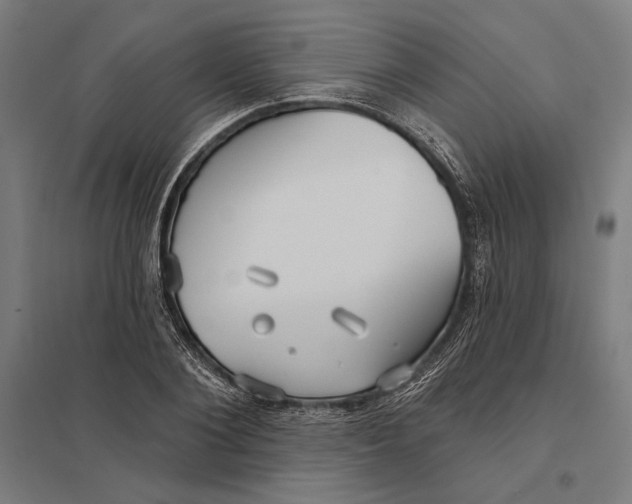 X0000097750884200803281607