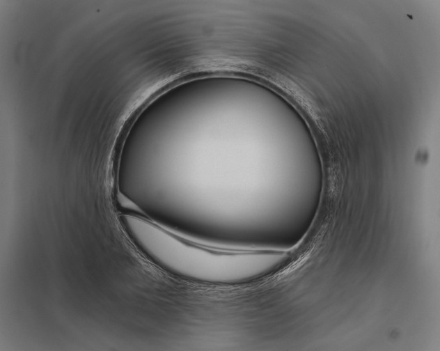 X0000097750885200803281607