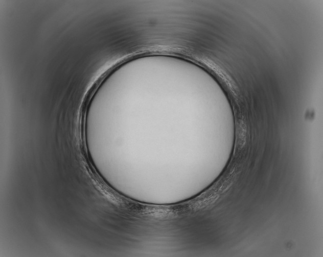 X0000097750886200803281607