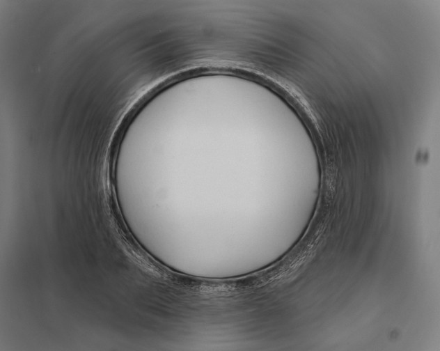 X0000097750887200803281607