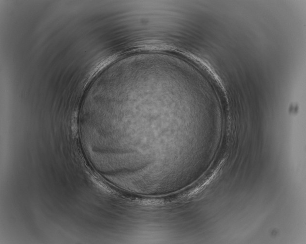 X0000097750889200803281607