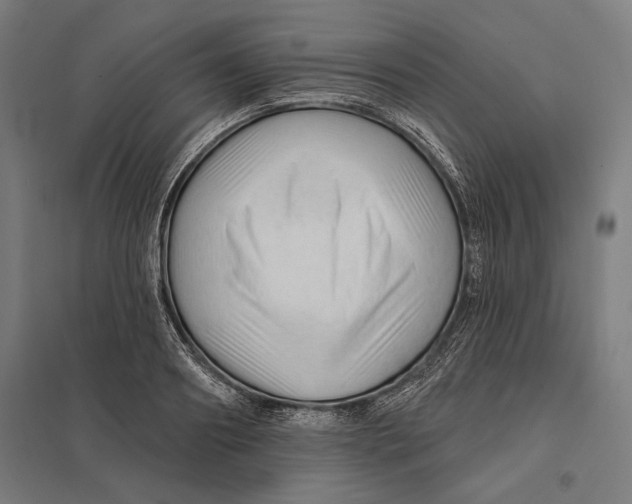 X0000097750890200803281607