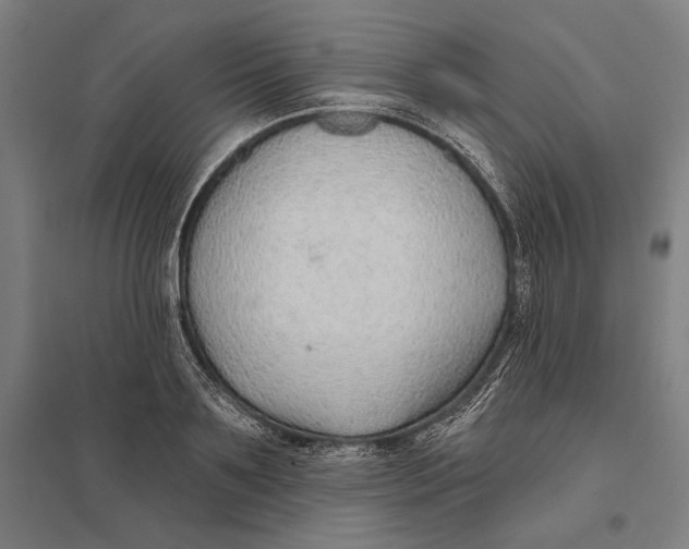 X0000097750891200803281607