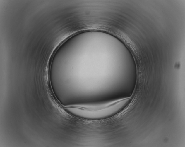 X0000097750892200803281607