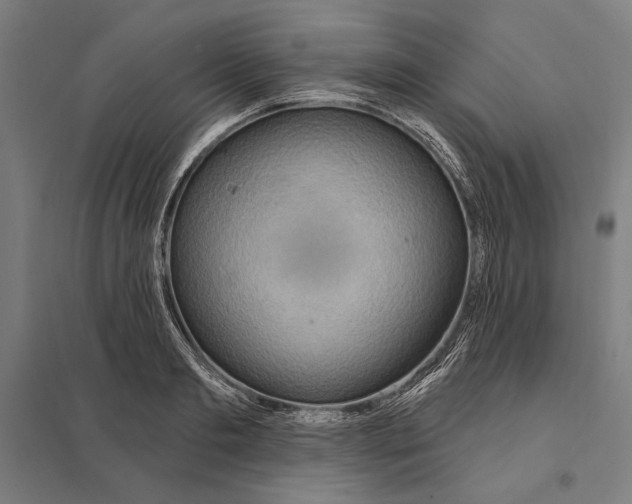 X0000097750893200803281607