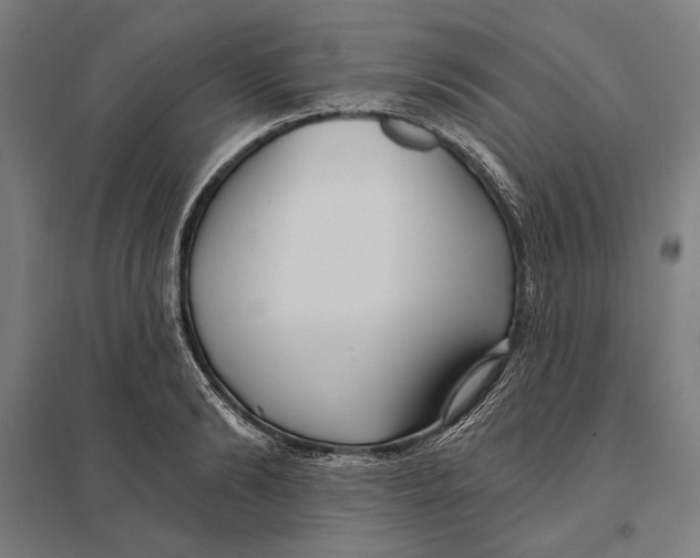 X0000097750894200803281607