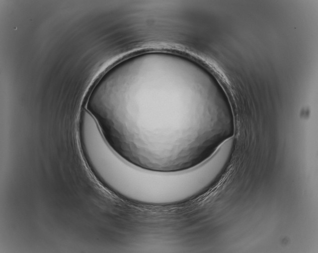 X0000097750895200803281607