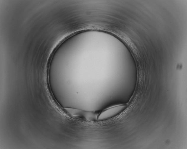 X0000097750896200803281607