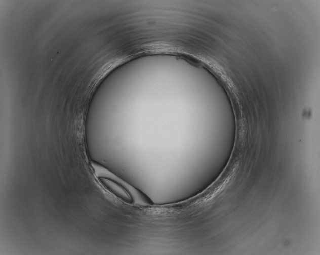 X0000097750897200803281607