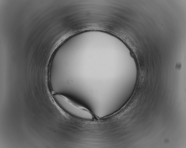 X0000097750898200803281607