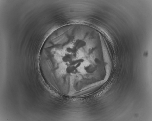 X0000097750899200803281607