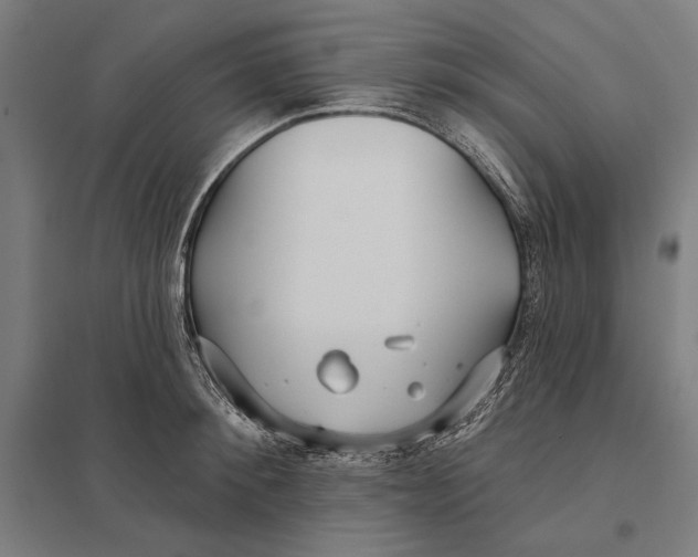 X0000097750900200803281607