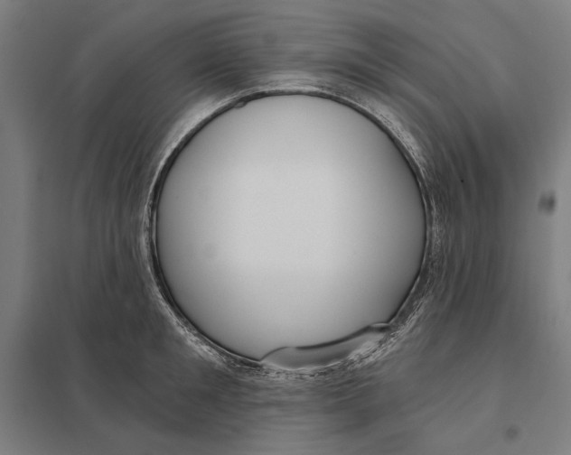 X0000097750901200803281607