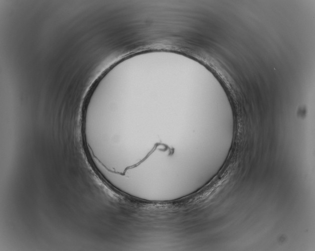 X0000097750902200803281607