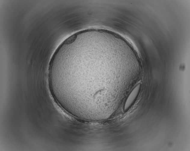 X0000097750903200803281607