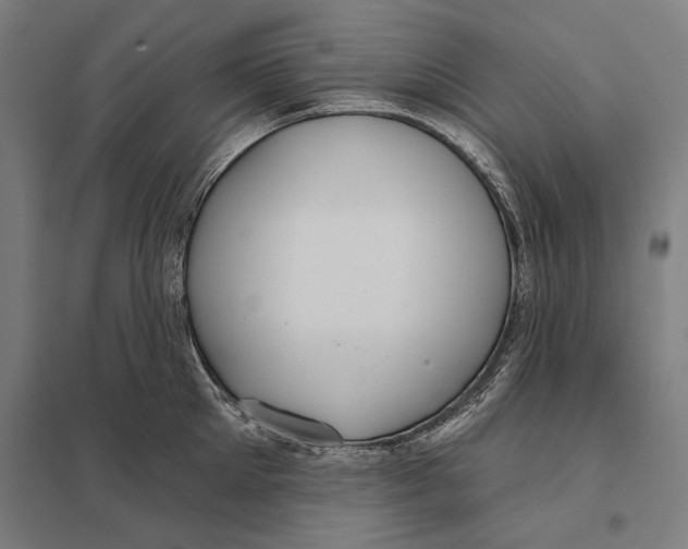 X0000097750905200803281607