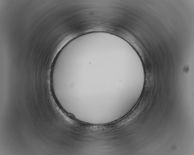 X0000097750906200803281607