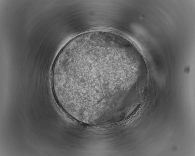 X0000097750907200803281607