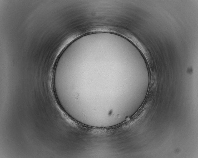 X0000097750909200803281607