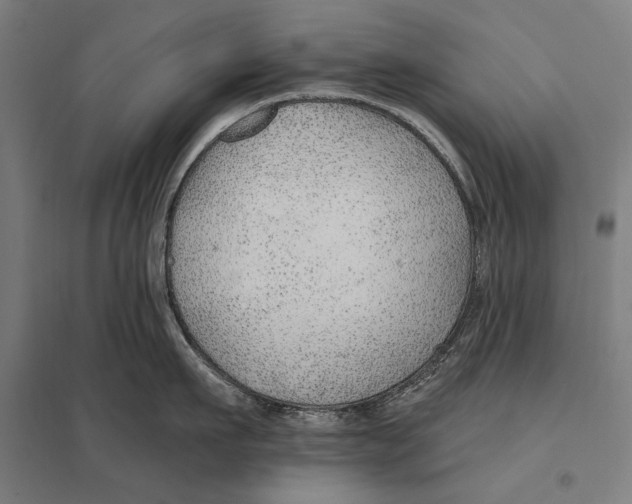 X0000097750911200803281607